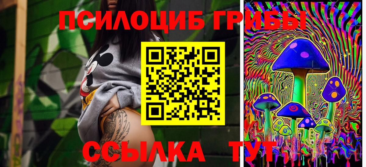 купить наркотик  Галлюциногенные грибы мицелий  Вход с VPN  Черногорск 