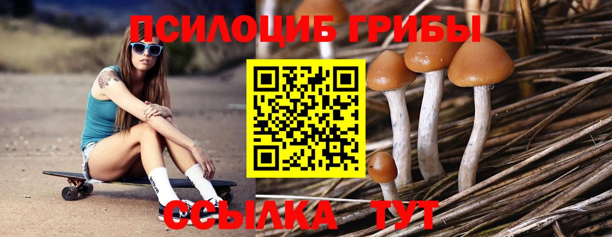 Галлюциногенные грибы ЛСД Черногорск