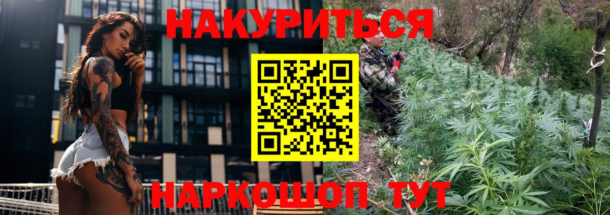 Бошки марихуана семена  Конопля White Widow  Черногорск  Вход с VPN 